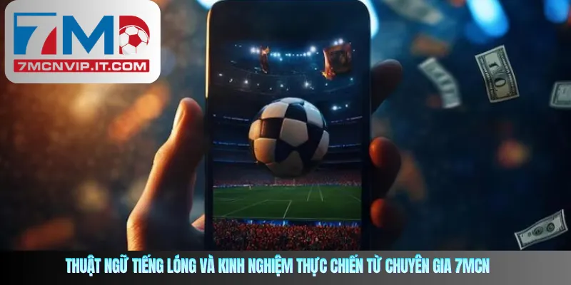 Thuật ngữ tiếng lóng và kinh nghiệm thực chiến từ chuyên gia 7mcn