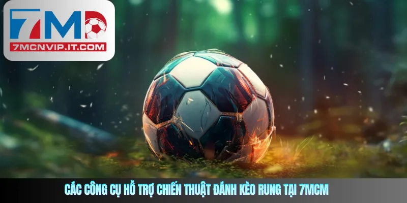 Các công cụ hỗ trợ chiến thuật đánh kèo rung tại 7MCN