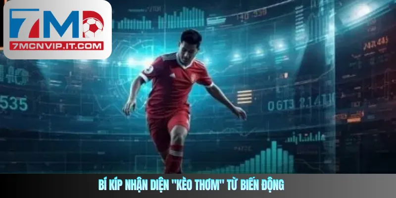 Bí kíp nhận diện "kèo thơm" từ biến động