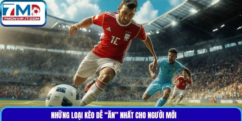 Những loại kèo dễ “ăn” nhất cho người mới