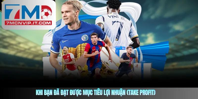 Khi bạn đã đạt được mục tiêu lợi nhuận (take profit)