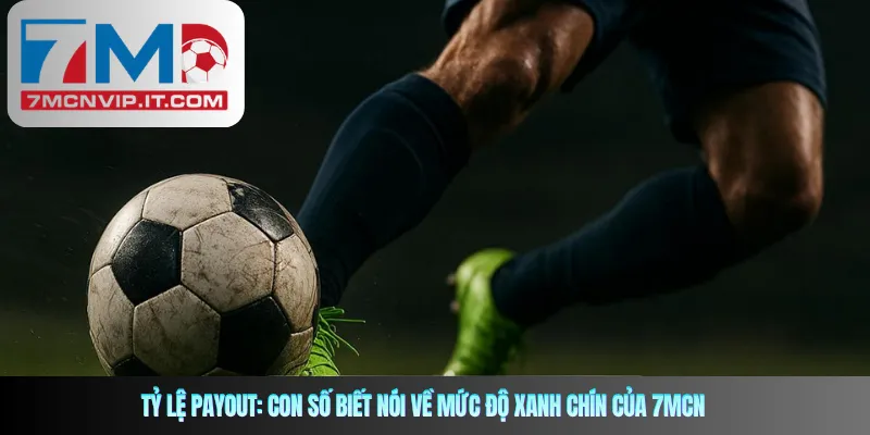 Tỷ lệ Payout: Con số biết nói về mức độ xanh chín của 7MCN